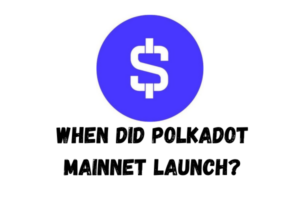 when did Polkadot Mainnet Launch