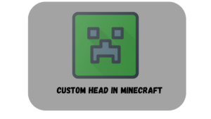 how to get custom head in minecraft