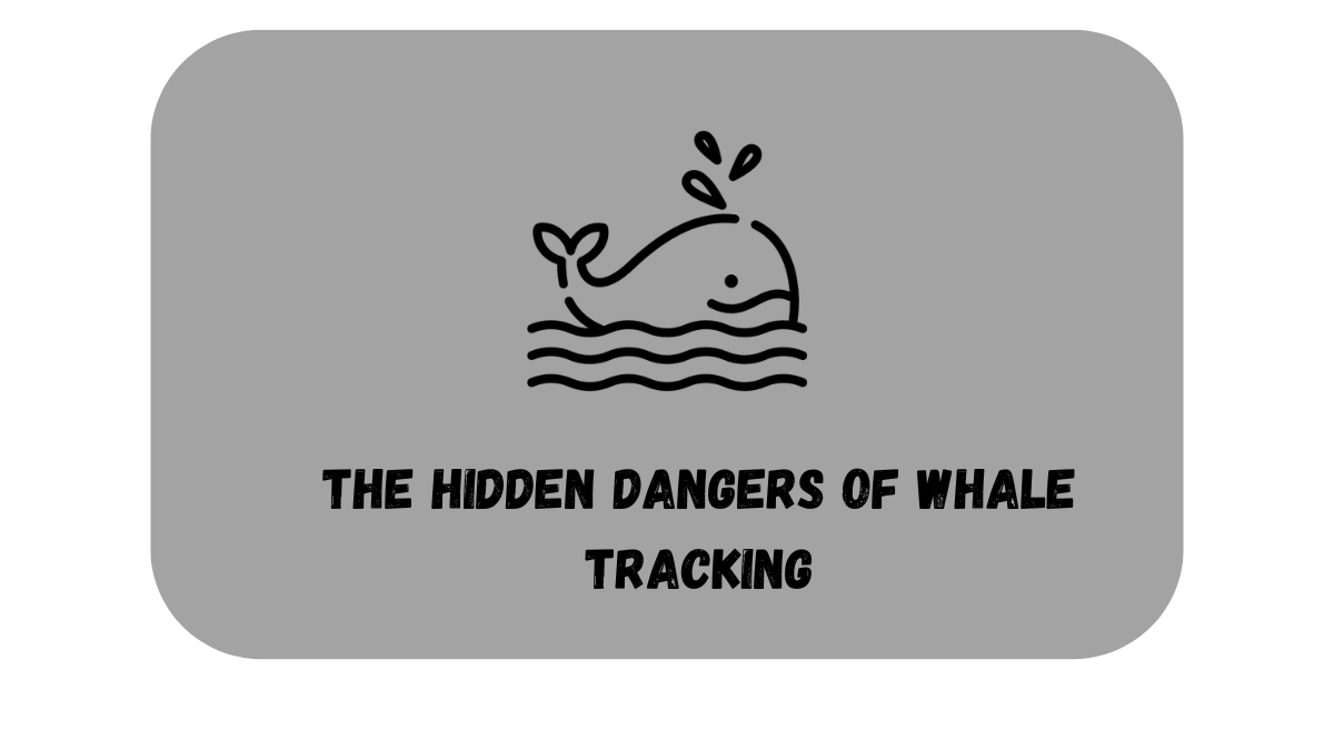 The Hidden Dangers Of Whale Tracking Memefi Video Code